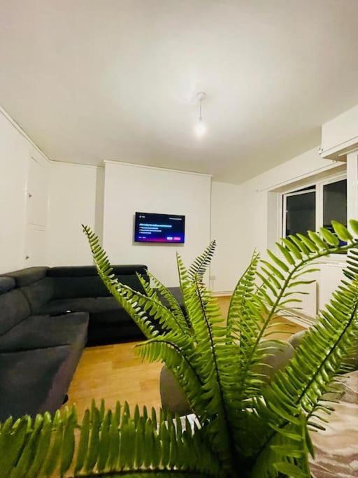 Appartamento 2bd Canarywharf Mile End Private Balcony Free Parking Londra